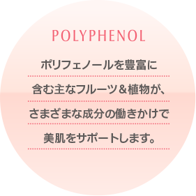 ポリフェノールを豊富に含む主なフルーツ&植物が、さまざまな成分の働きかけで美肌をサポートします。